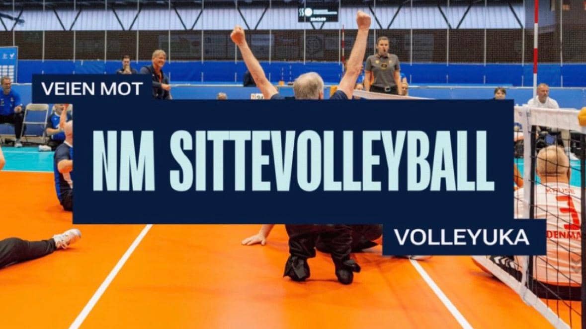 NM sittevolleyball cover
