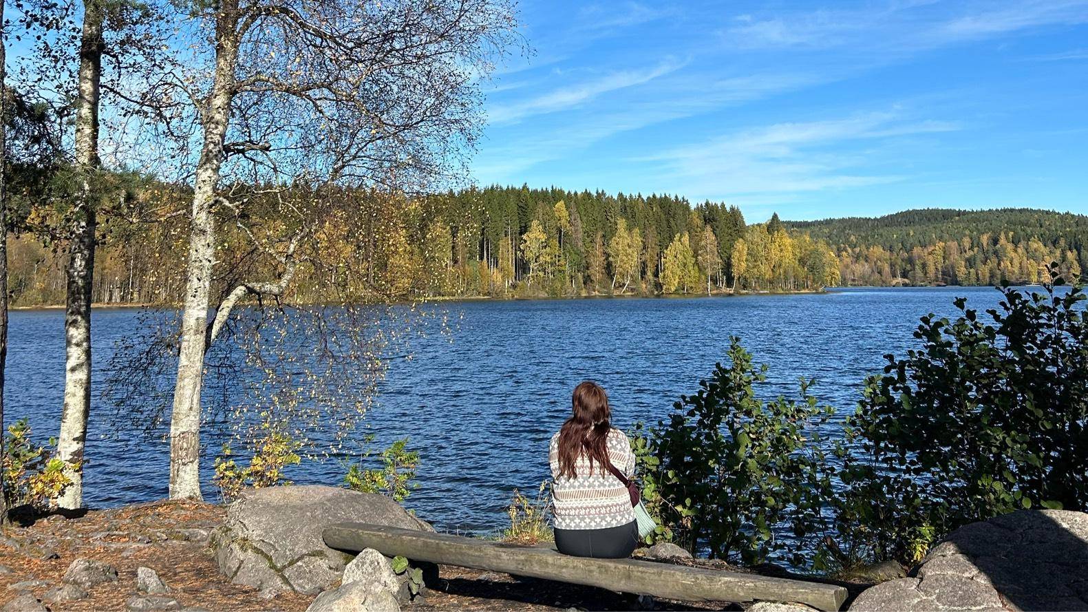 Bålkveld rundt Sognsvann 🔥 cover
