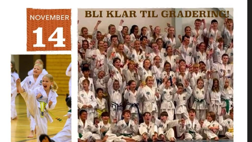 Treningssamling 14.november Heggedalshallen. cover