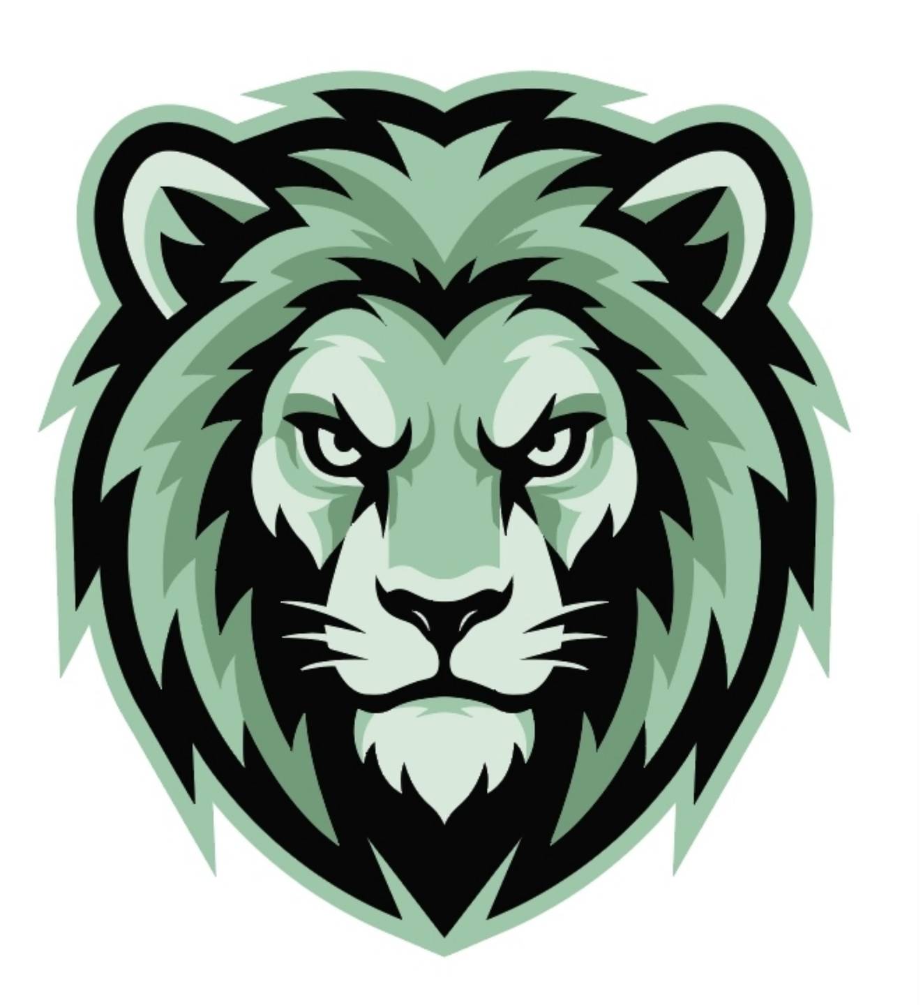 Lions Inline Hockey Club cover
