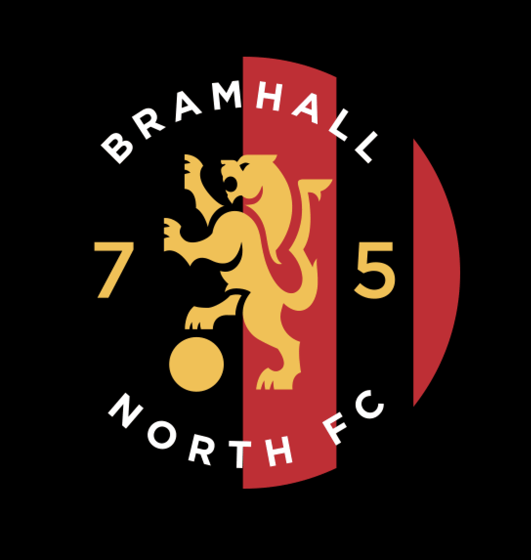 Bramhall North 75 FC cover
