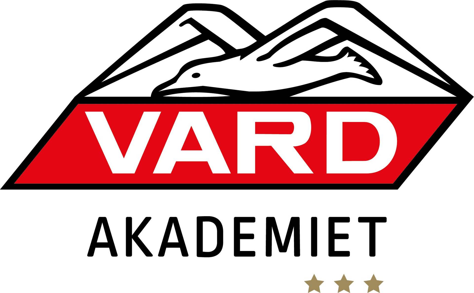 Vardakademiet 2026/2027 - 2015-2020 cover