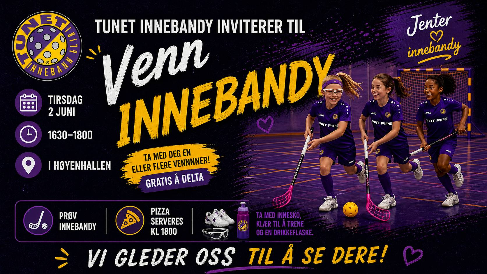 VennInnebandy cover
