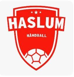 Haslum Topphåndballforening cover