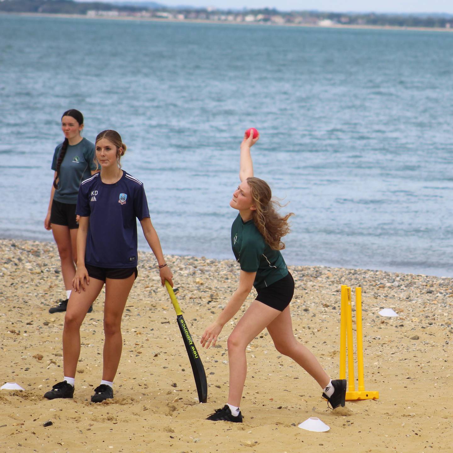Friends Of Isle Of Wight Cricket cover