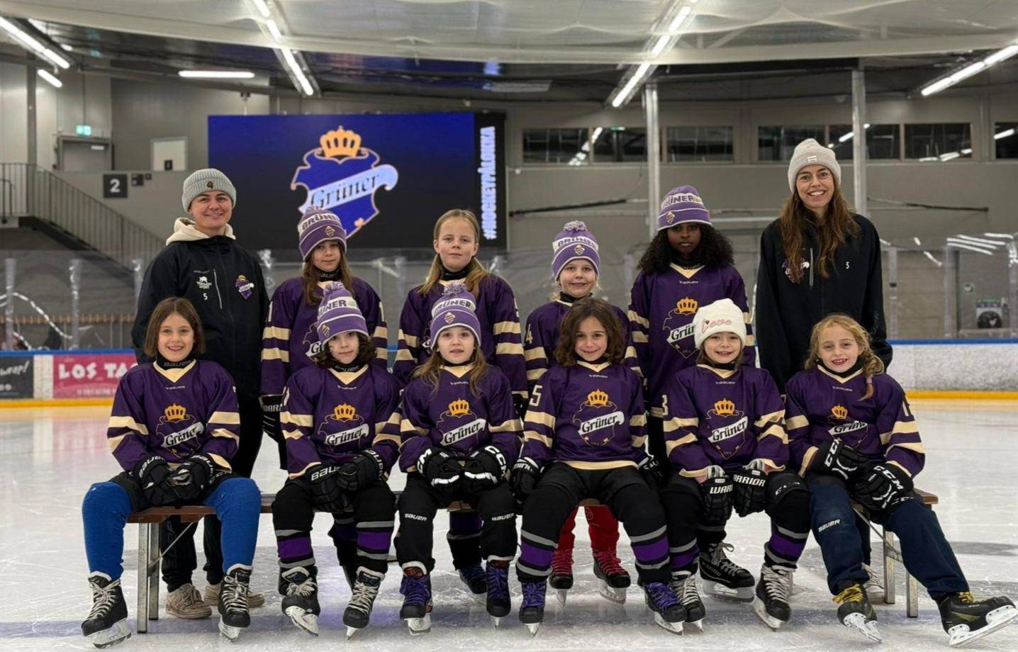 Grüner ishockey IL cover