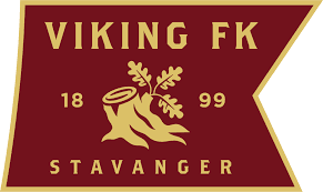 Viking FK cover