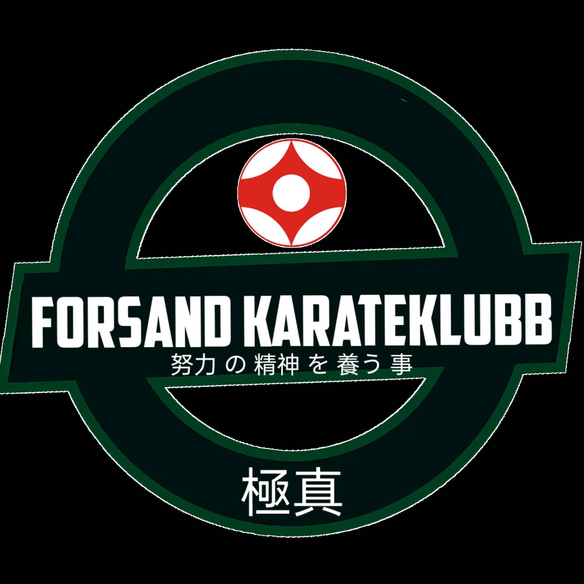 Forsand Karateklubb cover