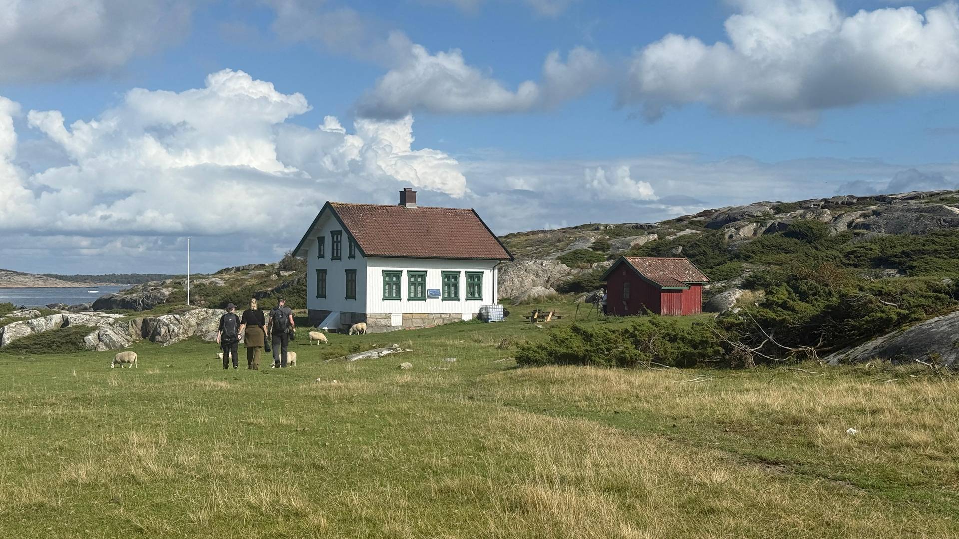 BirdLife Norge cover