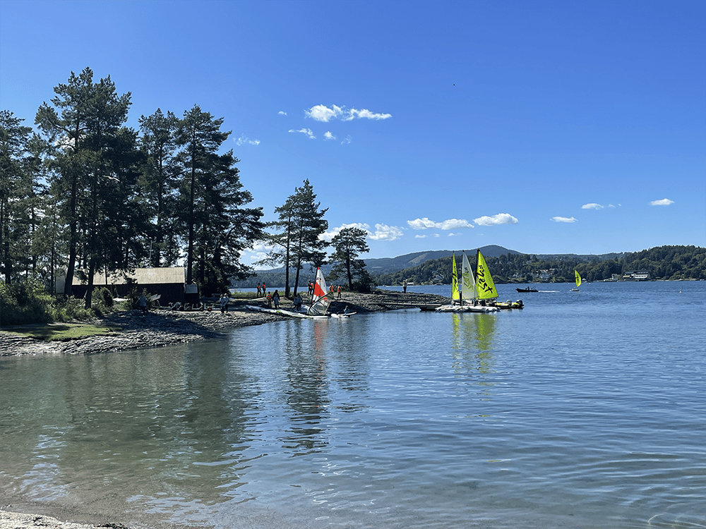 Lady & Mansurf cover