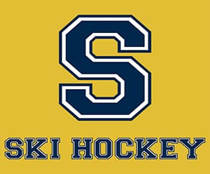 Ski Hockey cover