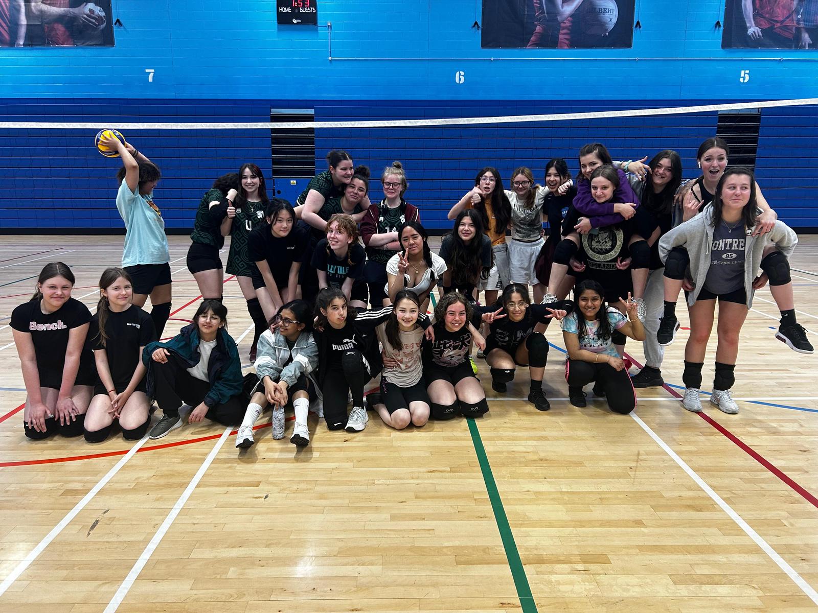Beginners Volleyball Camp cover