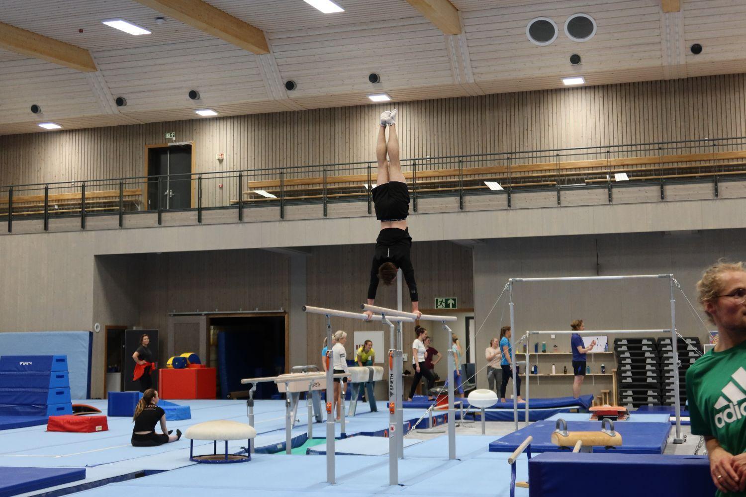Drop in Turn for voksne cover