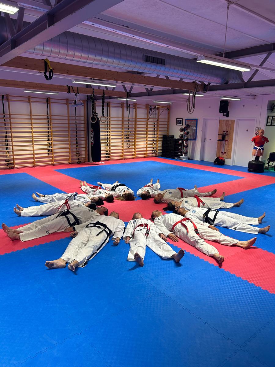 Bærum Taekwon-Do klubb cover