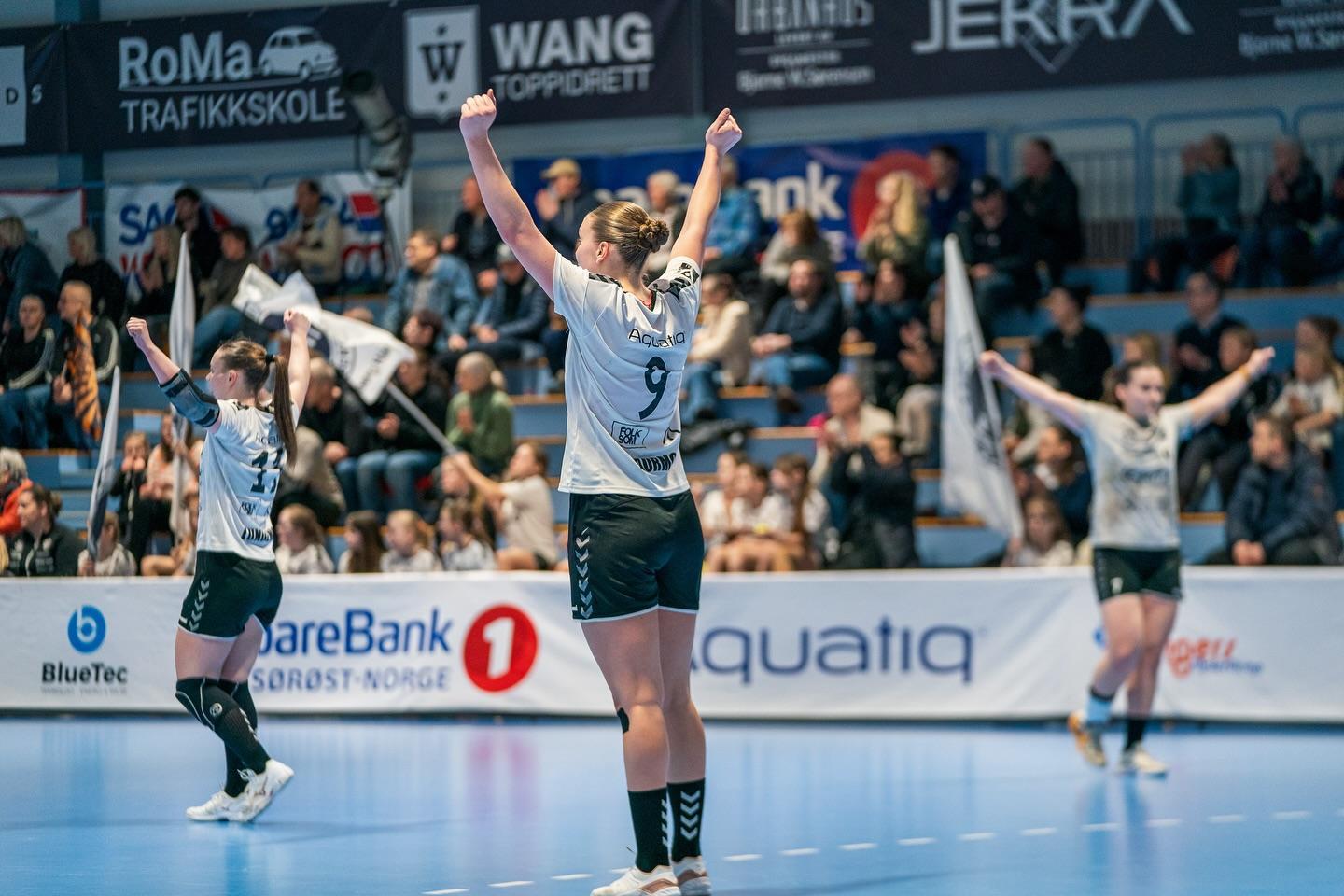 Flint Tønsberg Håndball cover