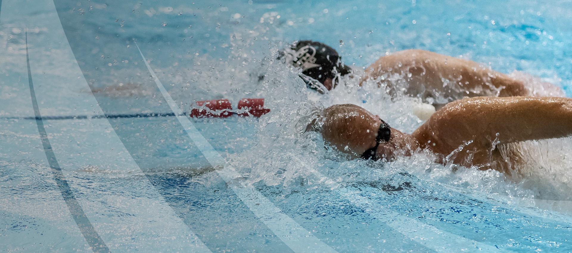 Bristol North Swimming Club cover