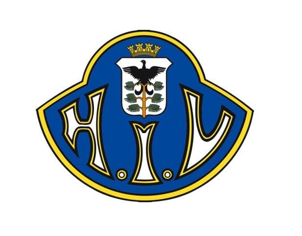 Hamar Idrettslag cover