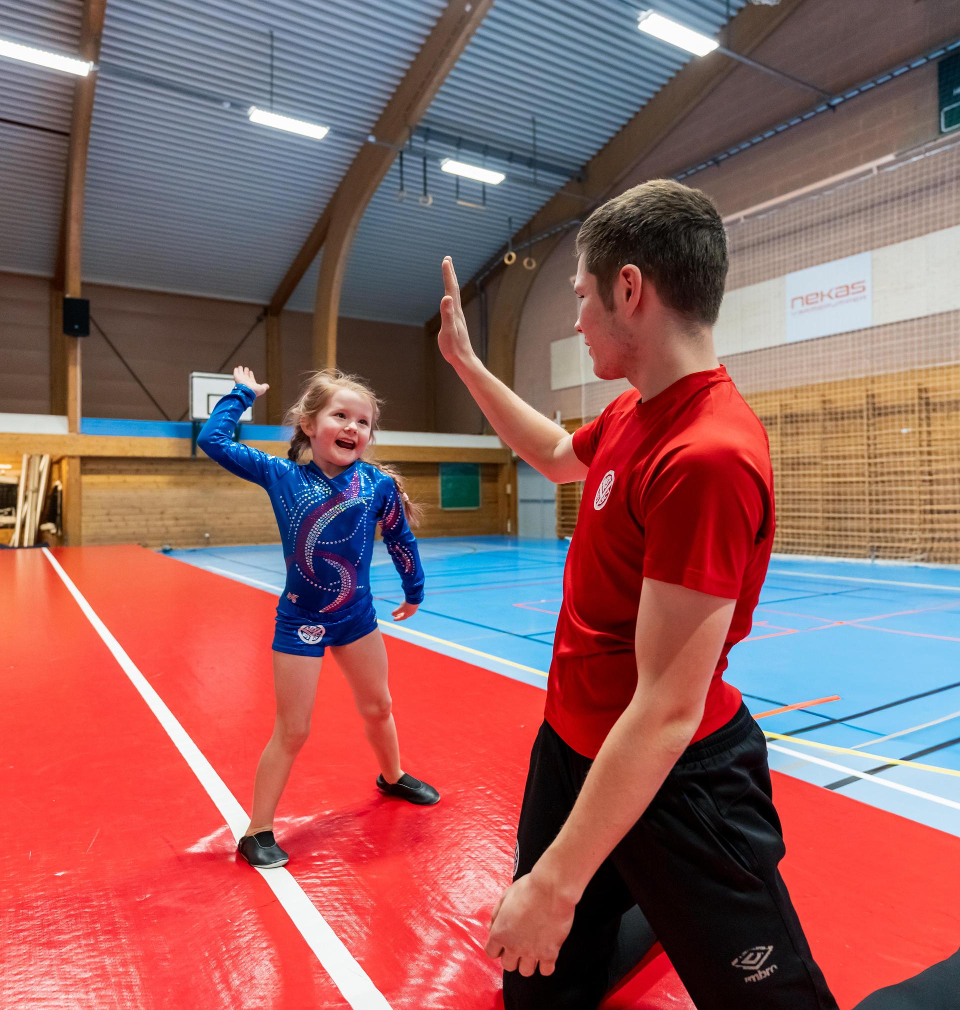 Nes Turnforening cover