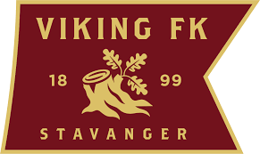Viking FK cover