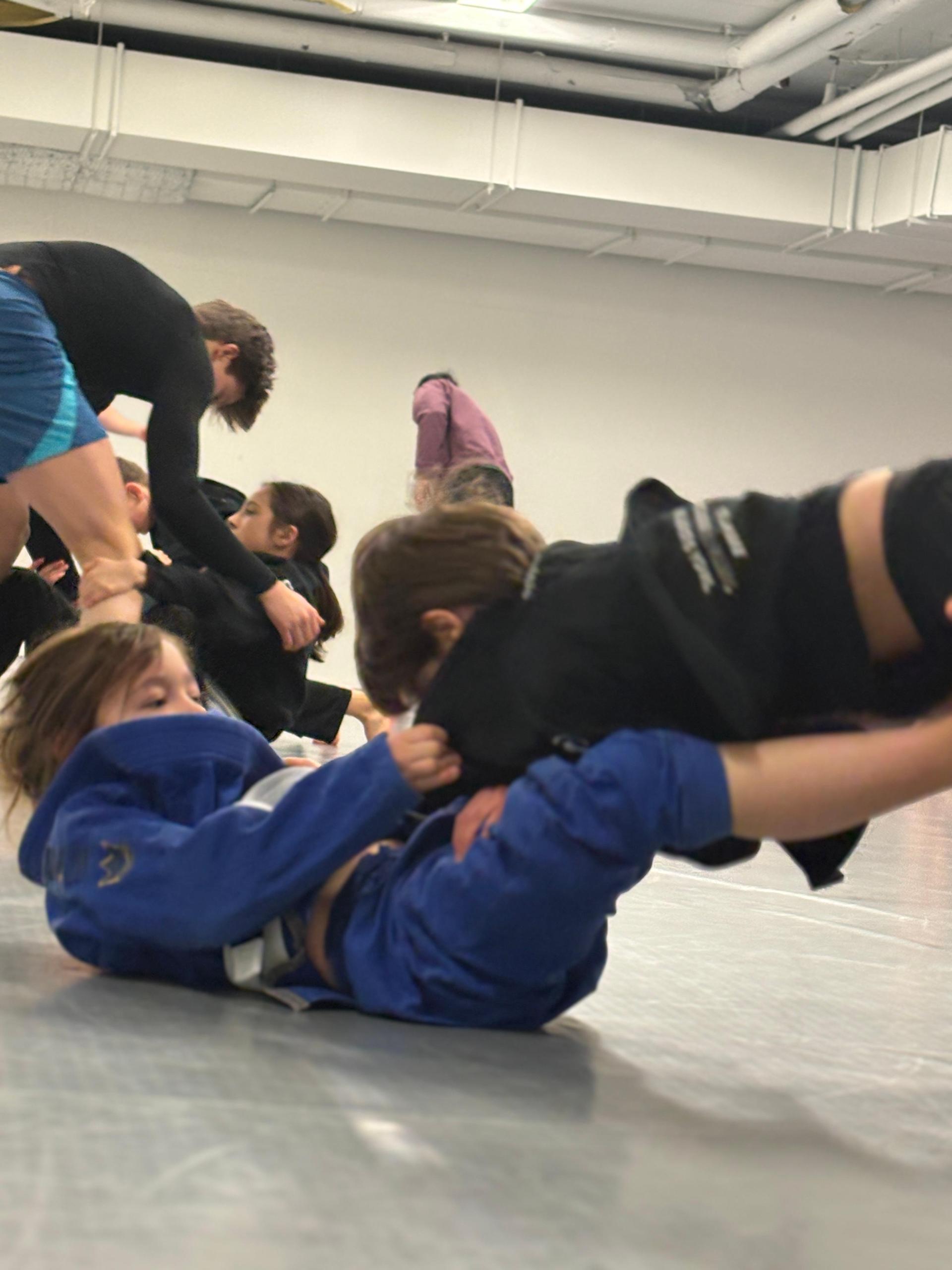 Bodø Jiu Jitsu cover