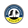 Bristol Downs Association Football League logo