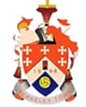 Berkeley Town FC logo