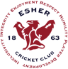 Esher Cricket Club logo