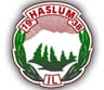 Haslum IL logo