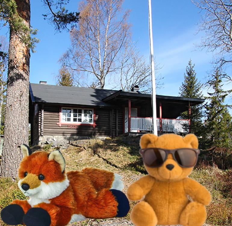 Bilde til Patruljetur med rev og bjørn til Mason!