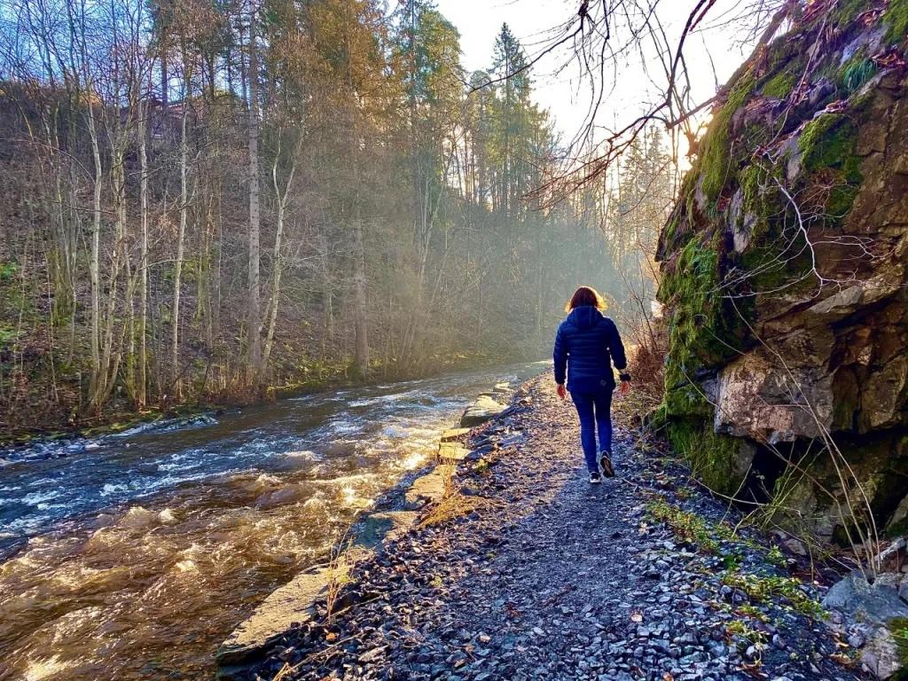Bilde av Flokkmøte Elvevandring