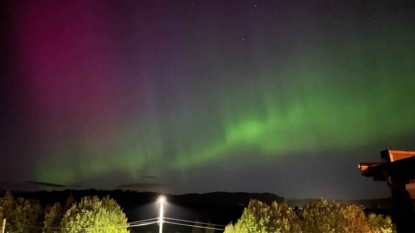 Bilde av Flokkmøte -Stjerner