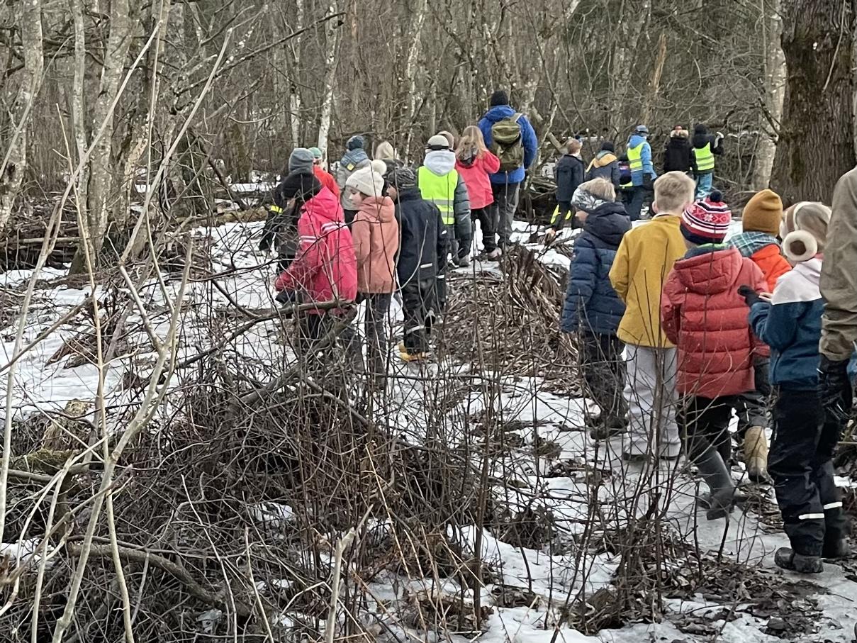 Bilde av Flokkmøte Jungelsafari