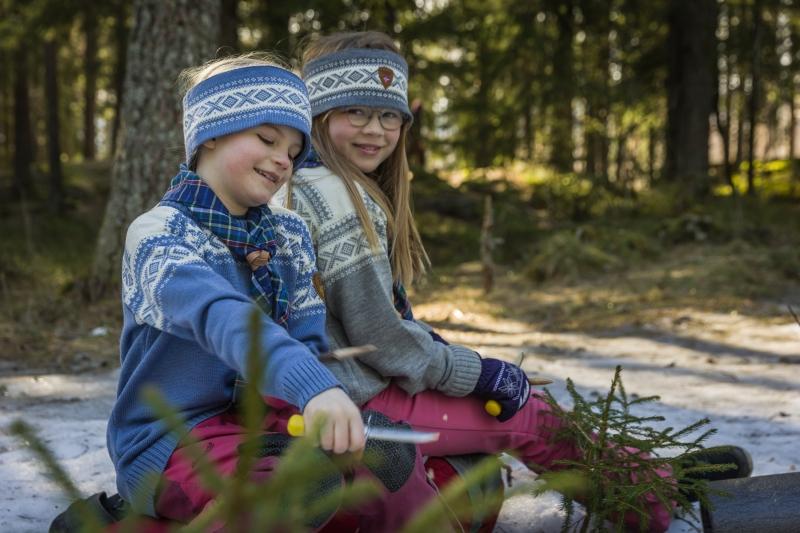 Bilde til Oppstartsmøte Flokken
