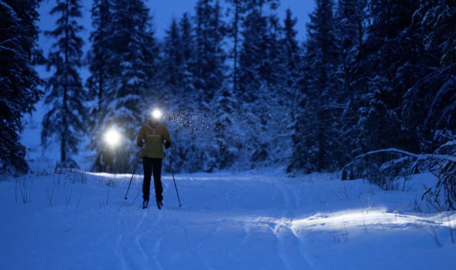 Bilde av Flokkmøte Ski