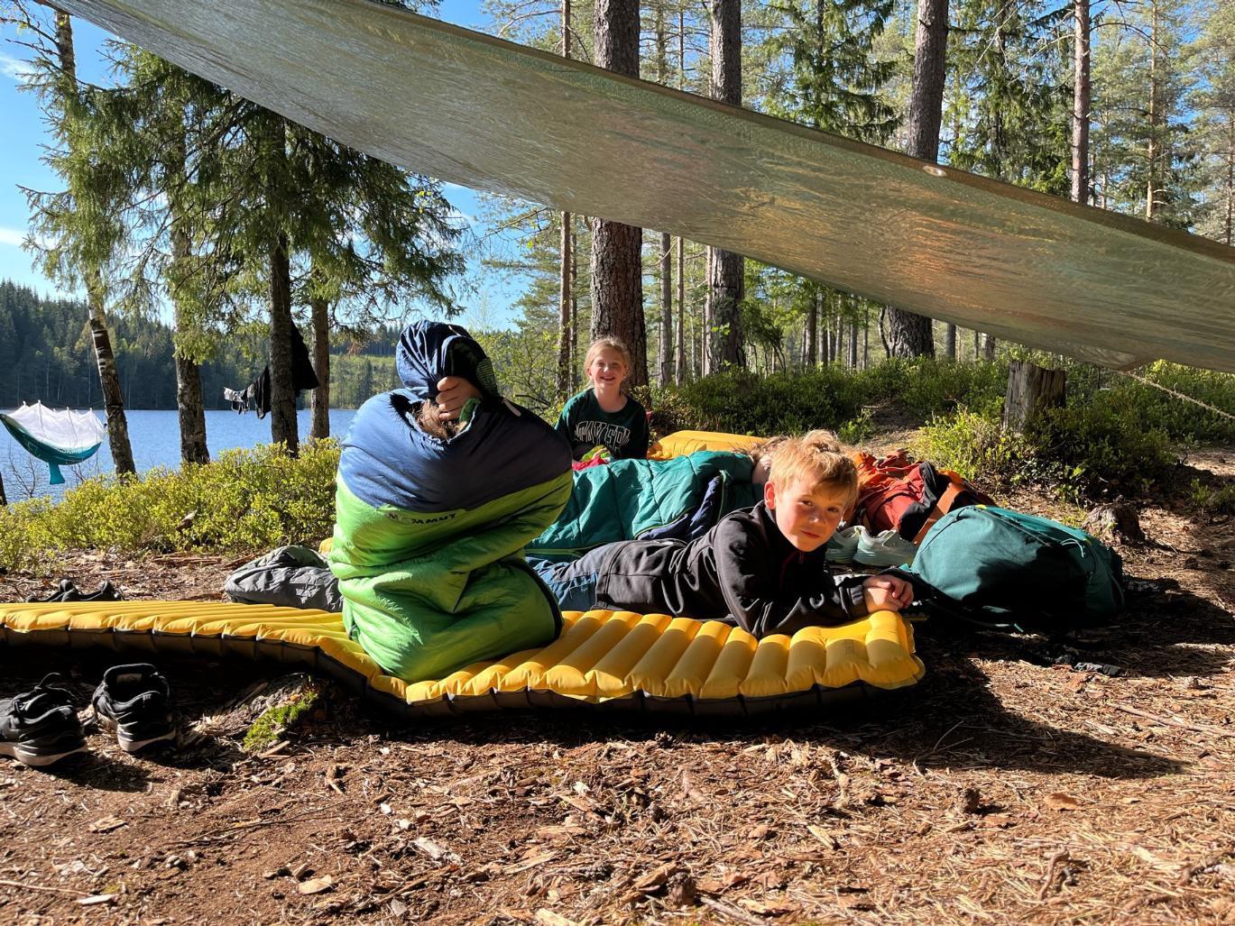 Bilde av Gapahuktur med flokken