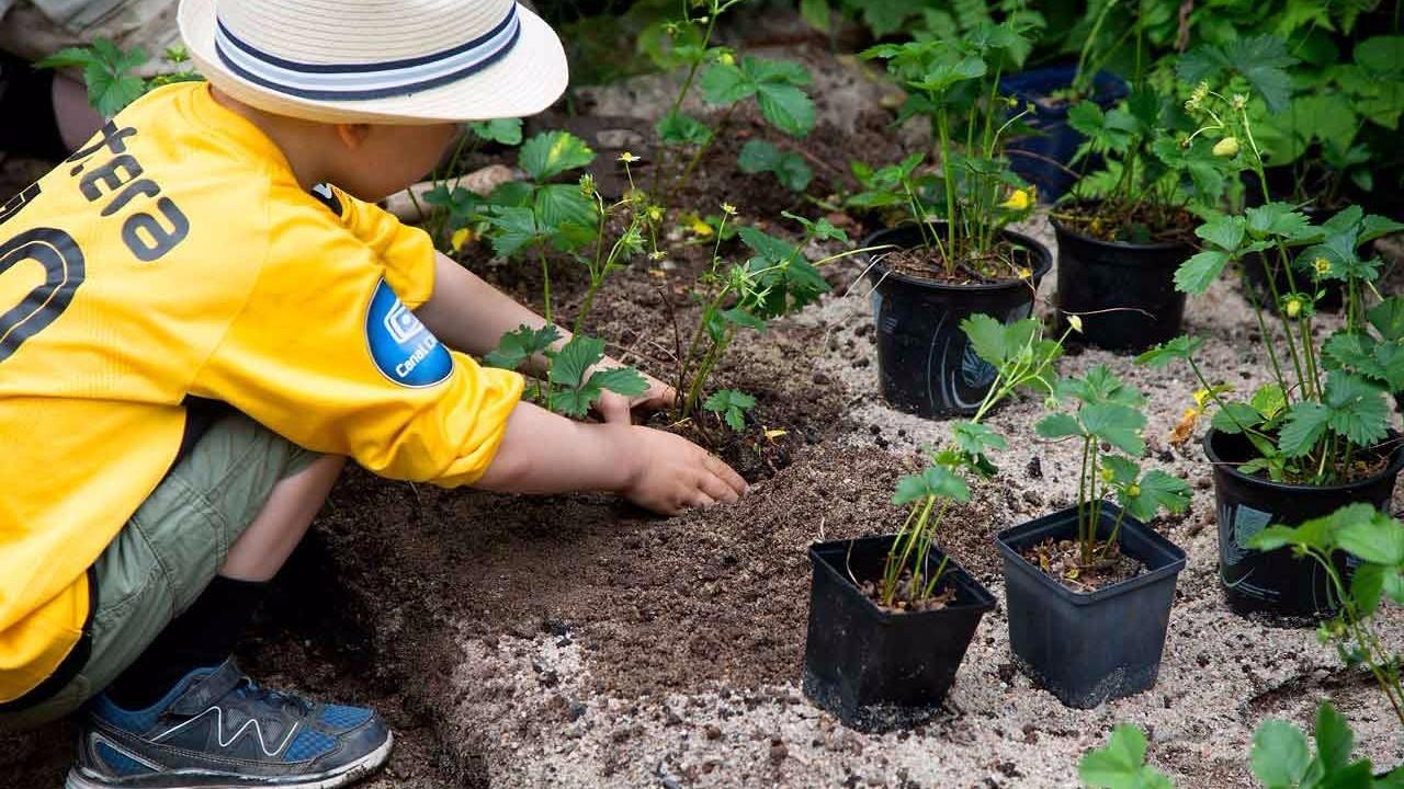Bilde av Flokkmøte Planting